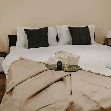 Holiday Agoston Apartments Timisoara