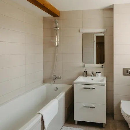 Holiday Agoston Apartments Apartment Timisoara