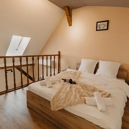 Apartment Holiday Agoston Apartments Timisoara