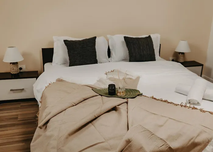 Holiday Agoston Apartments Timisoara